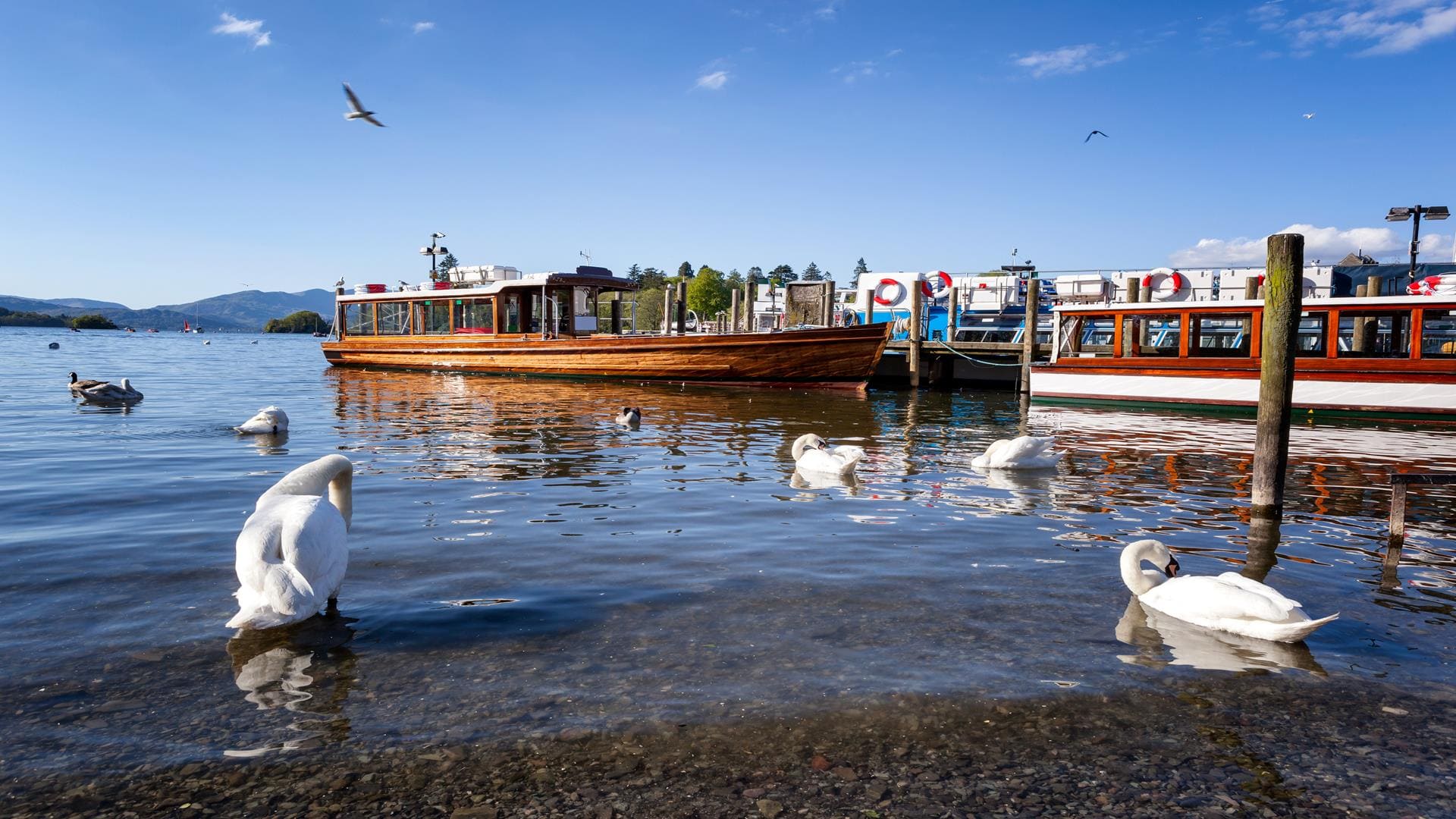 lake windermere cruise